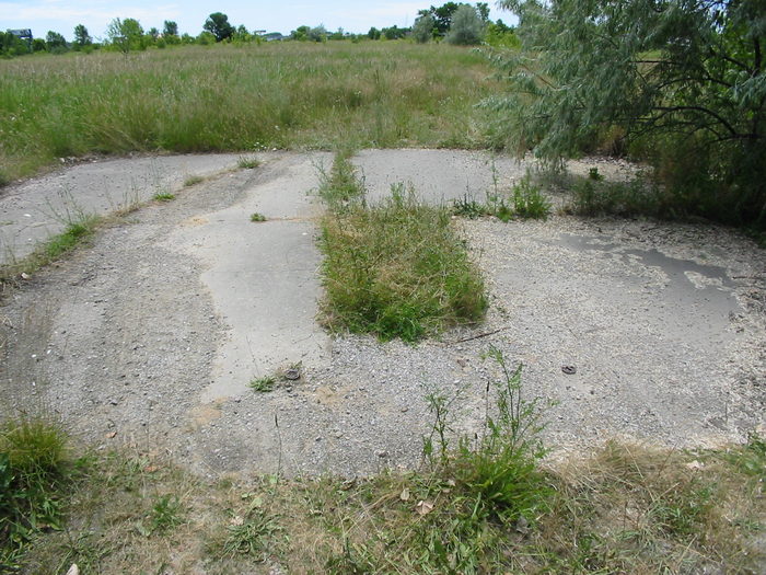 Bel Air Drive-In Theatre - July 2002